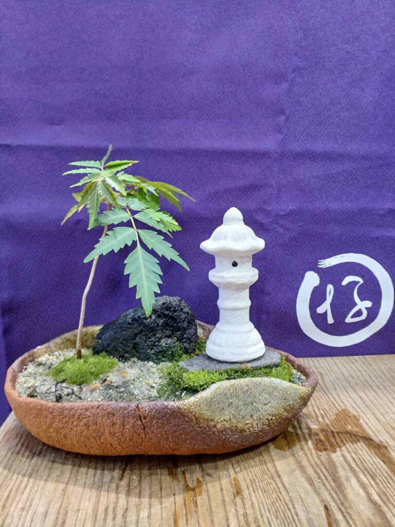 苔なっこ | 上質で彩り豊かな苔の作品をお届けします。