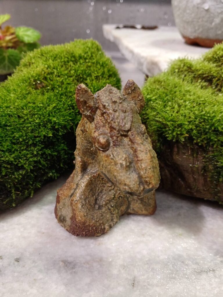 苔なっこ | 上質で彩り豊かな苔の作品をお届けします。